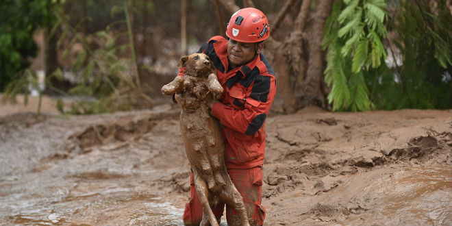 Vigile del fuoco salva il cane intrappolato nel fango