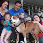 Super cane sopravvive all’uragano Sandy e ritrova la sua famiglia