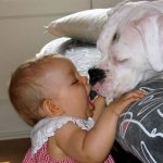 Bambini e cani: ecco come comportarsi