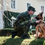 Eddie, cane anti bombe salva la vita a pattuglia americana