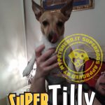Tilly – una piccola valanga di energia!