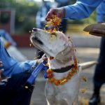 In Nepal, il festival per onorare i cani