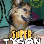 Tyson il super cane di Dora