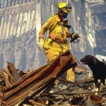 I cani eroi dell' 11 settembre