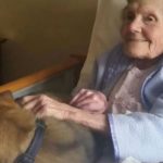 Cani in casa di cura riempiono di gioia il cuore di un'anziana