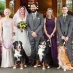 Il matrimonio è più bello con i cani!