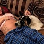 Keola, cane eroe salva donna incinta