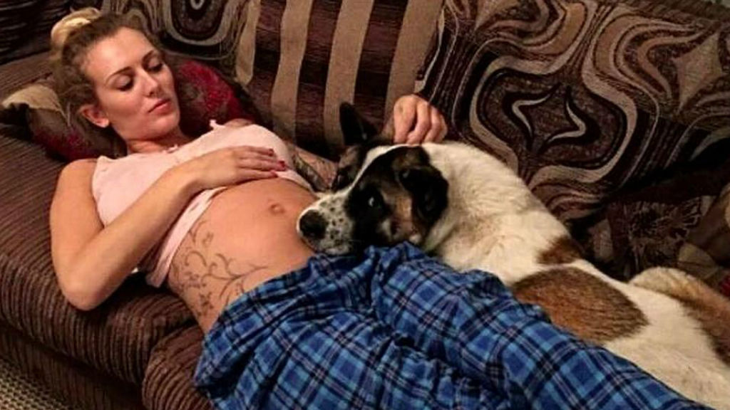 cane eroe salva donna incinta
