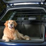 Come viaggiare con il cane in auto: Codice della strada e consigli pratici
