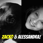 Zacko e My Pet’s Hero: Amore al primo… bocconcino!