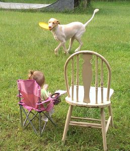 Cane abbandonato festeggia 3 anni di amicizia con la sua piccola umana