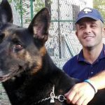 Cane eroe salva cagnolino intrappolato sotto le macerie