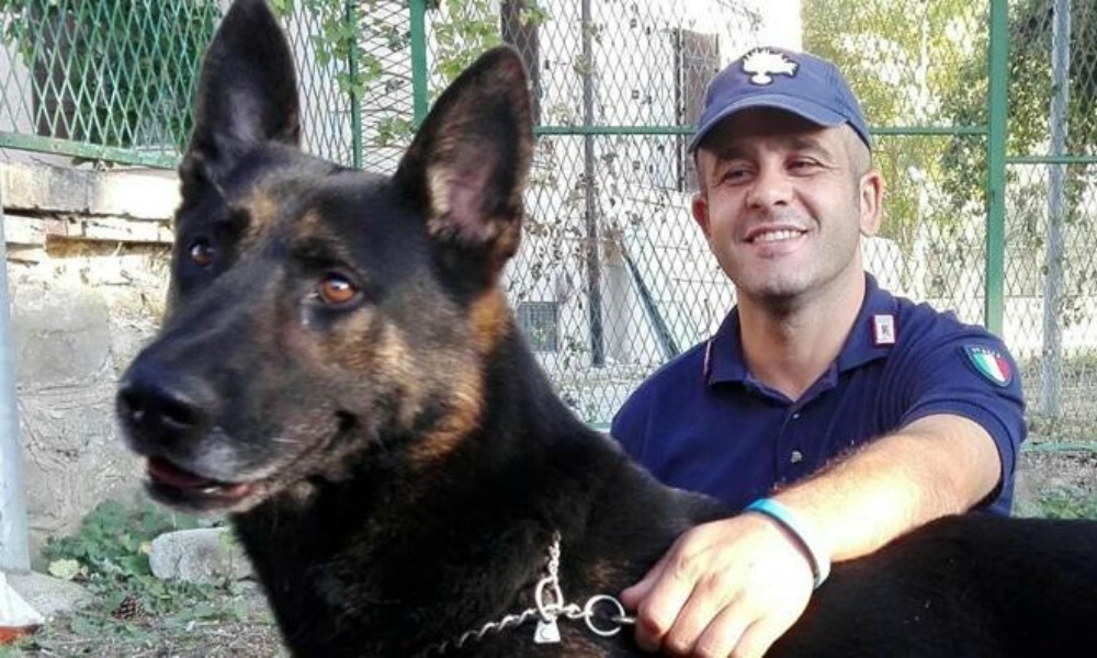 cane eroe salva cane dopo terremoto