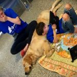 Bambino autistico incontra il suo cane: è subito amore
