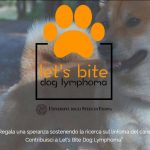 Linfoma del cane: sostieni la raccolta fondi per la ricerca