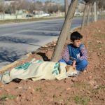 Bambino scappato dalla guerra rimane vicino al cane ferito fino all’arrivo dei soccorsi