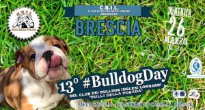 13° #BulldogDay del Club dei Bulldog Inglesi Lombardi