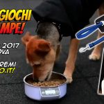 Premi speciali per cani Super! Tutti i premi dei SuperGiochi a 6 zampe di Padova