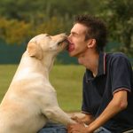 Dog4Life: conosciamo i cani eroi che aiutano le persone con disabilità