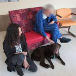 Pet Therapy: aiutare l’altro attraverso la relazione uomo-animale