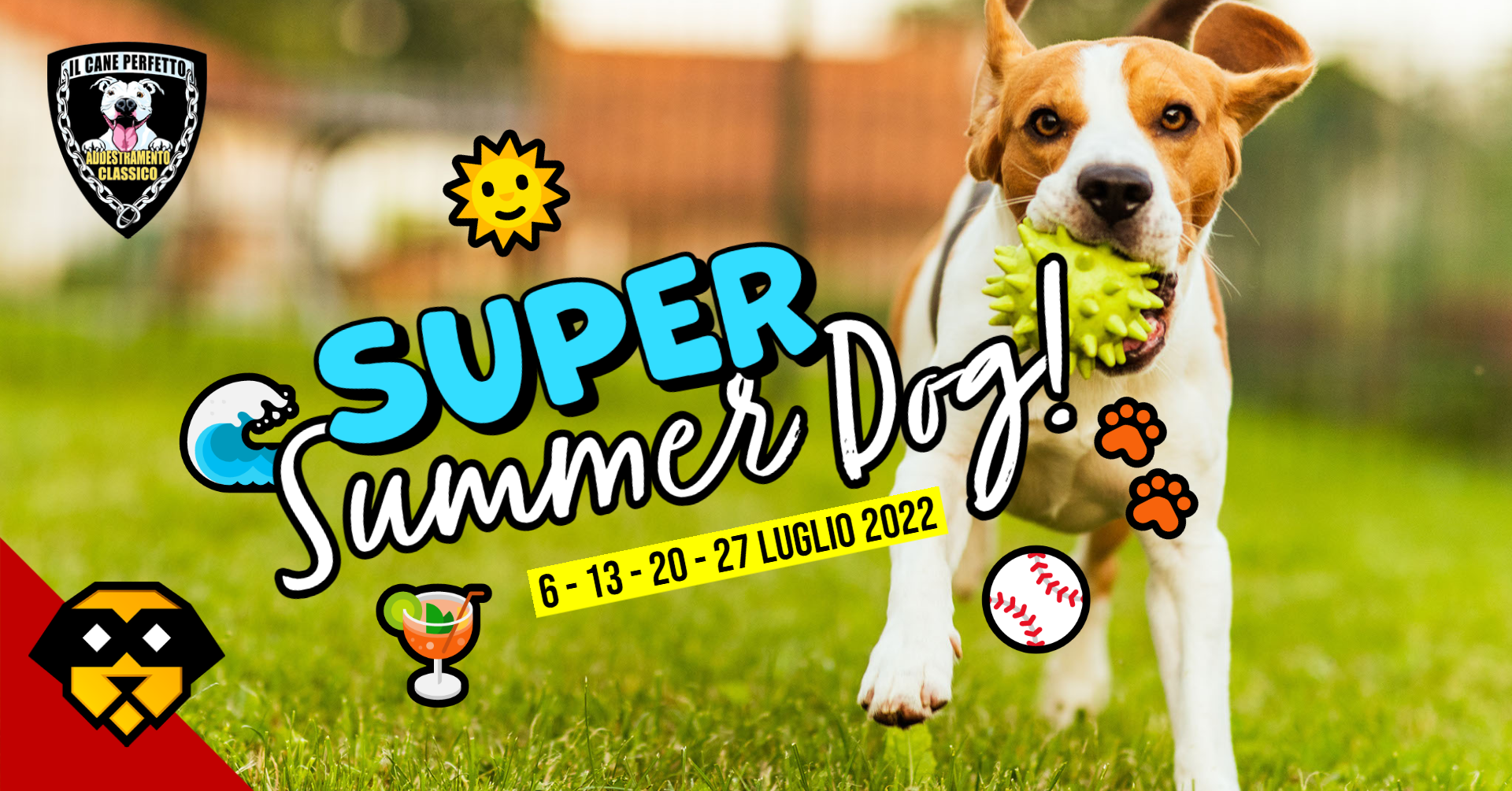 Super Summer Dog! presso Il Cane Perfetto